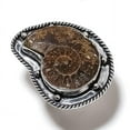thumbnail image 2 of Natural Ammonite Fossil Gemstone 925 Sterling Silver Gift Jewelry Ring Size 8, 2 of 2