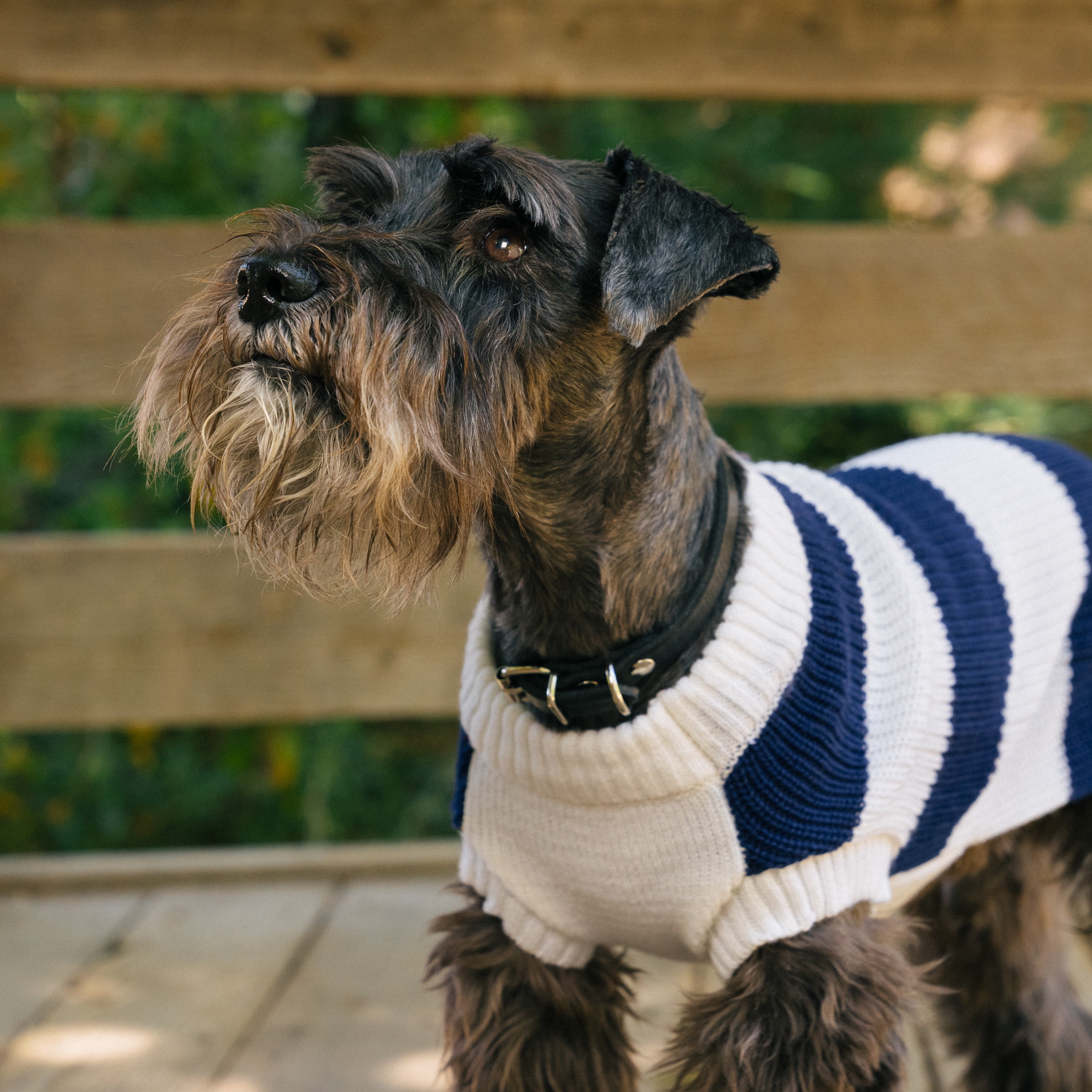 Gap Pet, Dog Clothes, Blue Striped Henley Pet Sweater