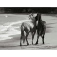 thumbnail image 2 of Scott, Traer 14x12 Black Ornate Wood Framed with Double Matting Museum Art Print Titled - Young Mustangs on Beach, 2 of 4