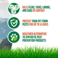 thumbnail image 5 of Naturel Promise Flick! Natural Flea & Tick Max Strength Spray for Dogs, 16oz, 5 of 10