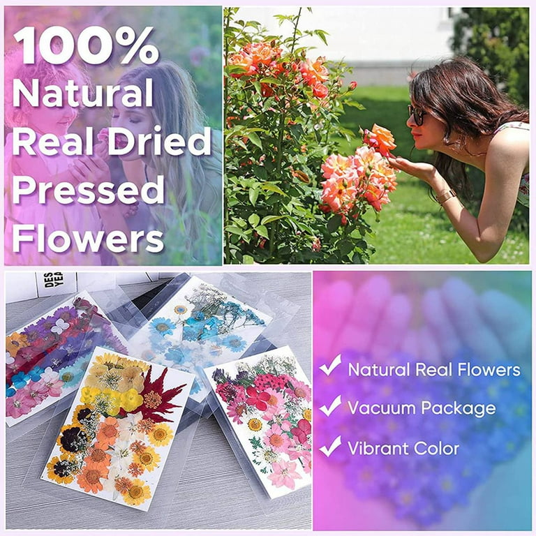 144PCS Natural Dried Pressed Flowers for Resin,Dry Flower Natural