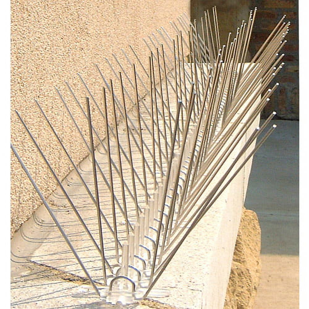 Bird-X Extra Wide Stainless Bird Spikes 10 Feet Coverage 8 Inches Wide Pigeons Starlings Sparrows Seagulls Bird Repellent Control