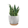 thumbnail image 4 of 3 juegos/vendido Especificaciones: Círculo de 18 cm Altura de 28 cm Soporte para plantas Tamaño del embalaje: 29x19x1 cm ANGGREK Otros, 4 of 8