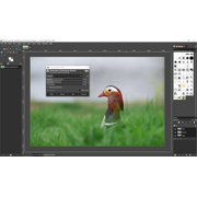 Gimp 2025 Photo & Image editing Software for PC & Mac