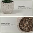 thumbnail image 3 of Juego de 4 plantas suculentas artificiales pequeñas, decoración de plantas suculentas de imitación para mesa de hogar moderna, escritorio de oficina, decoración de estante de baño Vhermosa Macetas, 3 of 5