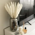 thumbnail image 2 of Dry Pampas Grass Natural Dried Bundle for Home Decor 30pcs White, 2 of 7