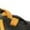 Anthracite/Fir/University Gold/White, variant on Nike Men's Pegasus 40 Oregon Running Shoes, from StockX