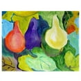 thumbnail image 1 of Betsy Drake PM1147 Gourdes Tapis de Place - Lot de 4, 1 of 1