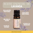 thumbnail image 2 of Aceite Esencial de Lavanda Aromas & Lavanda 10 ml Relajante Natural para Difusor, 2 of 4