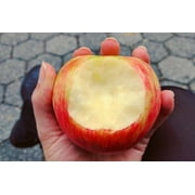 Fresh Honeycrisp Apple, Each