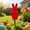 Red, variant on Easter Flocked Bunny Decorations Easter Garden Stakes Rabbits Spring Garden And Yards Decorations