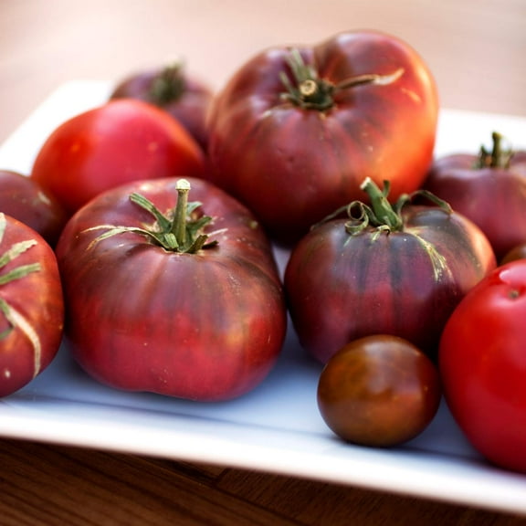 Tomato Garden Seeds - Cherokee Purple - 1 Oz - Non-GMO, Heirloom, Organic, Vegetable Gardening Seed