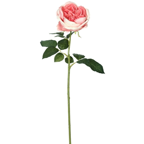 Vickerman 25" Artificial Dark Pink Open Rose Stem, 6 per Bag