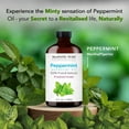 thumbnail image 5 of MAJESTIC PURE Peppermint Essential Oil | 100% Pure and Natural Peppermint Oil | Premium Grade Essential Oils for Hair Care, Home Diffusers, Skin, Aromatherapy, Massage and Humidifiers | 4 fl oz, 5 of 10