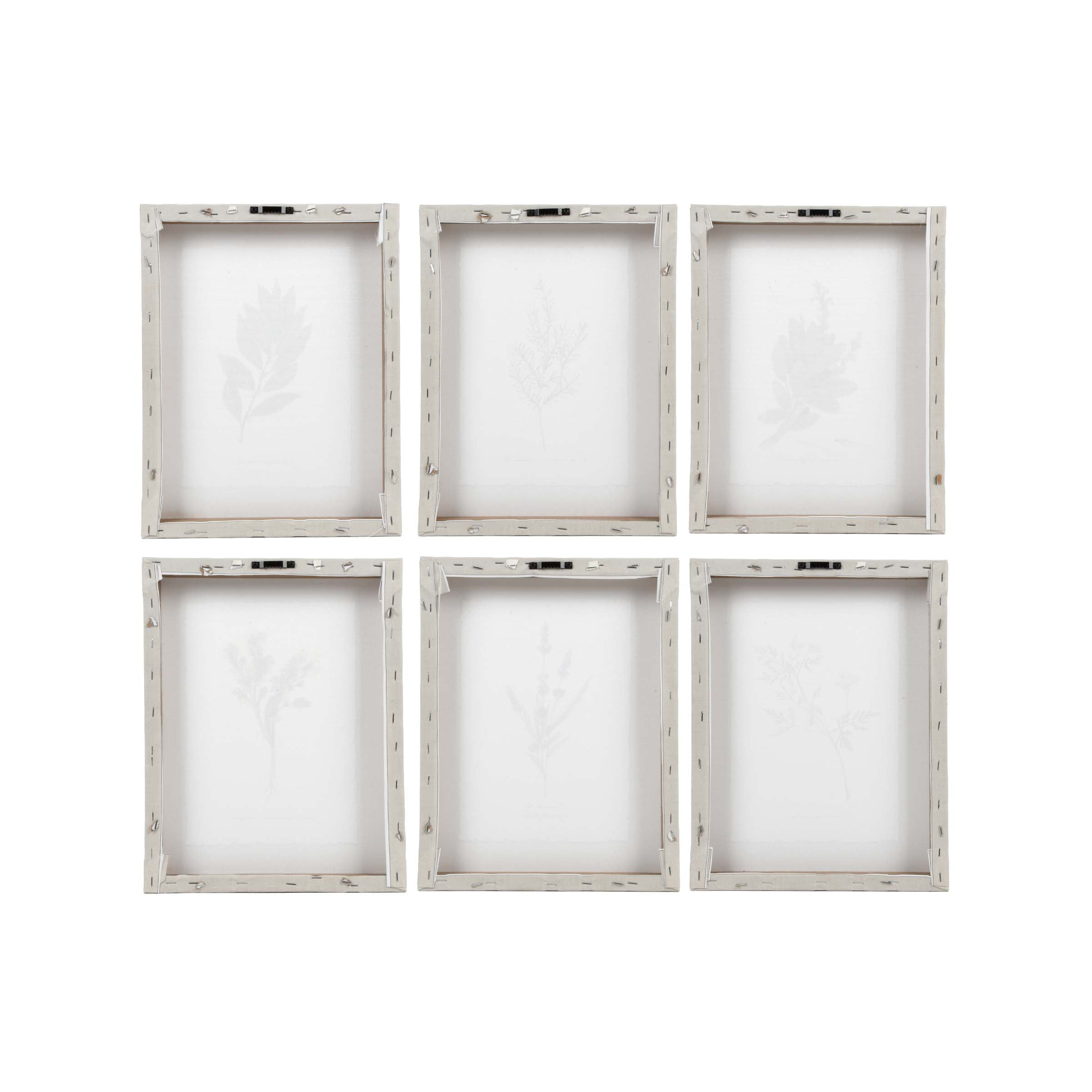 Ava Barrett Botanical Herbs 10.5" x 13.5" Multicolor Canvas Art Prints, Set of 6, by Prinz