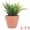 Gray-Green, variant on Unique Bargains Artificial Sago Palm Plant in Ceramic Pot Gray-Green 6.3"