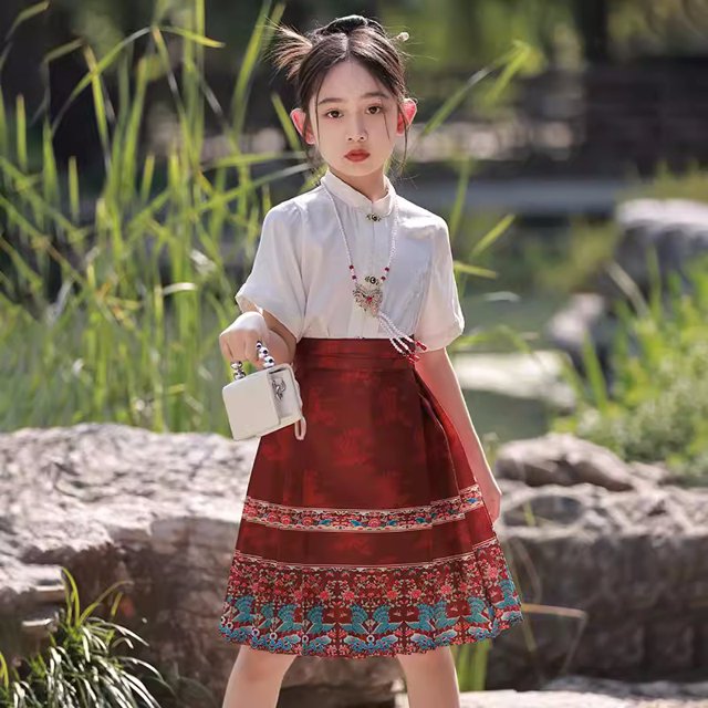 Jupe Visage de Cheval pour Filles Style Traditionnel Chinois Robe Hanfu Été Style Tang Jupe FJH