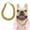 Gold, variant on 1 Pack Rose Gold Dog Cuban Link Chain Necklace, Bling Hop Metal Pet Jewelry Collar, Decorative Accessory for Small Dogs, French Bulldogs & Puppies