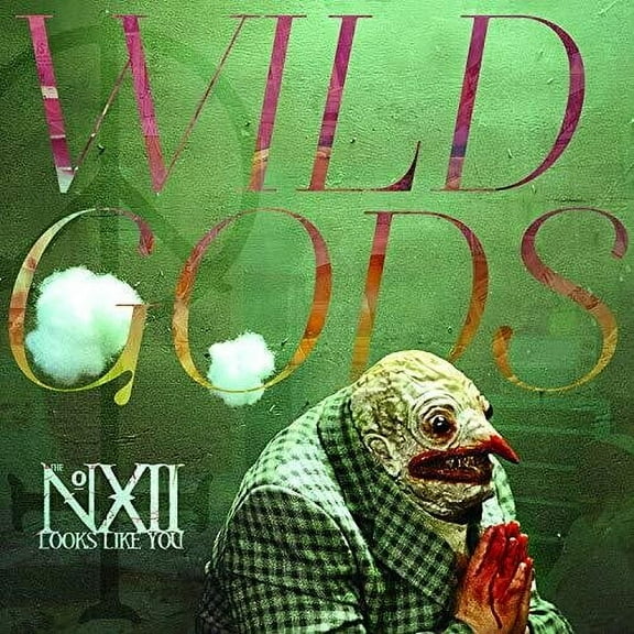 The Number Twelve Looks Like You - Wild Gods - Music & Performance - CD