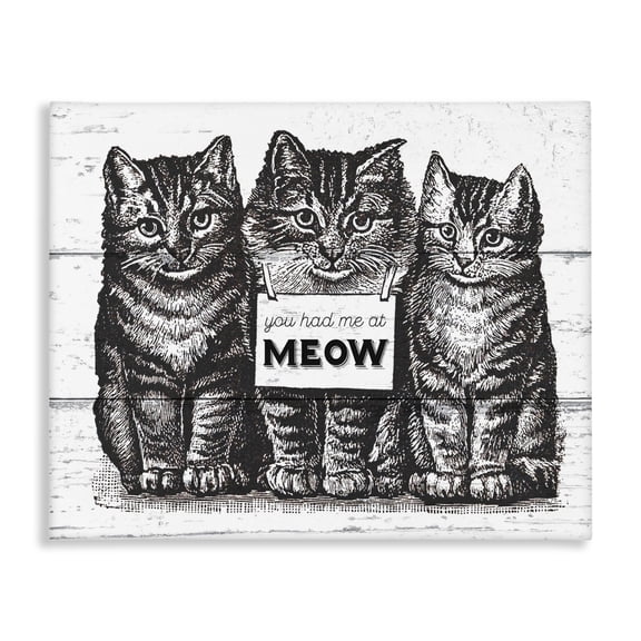 Stupell Industries Traditional You Had Me at Meow Cats Canvas Art, 30 x 24, by Lil' Rue