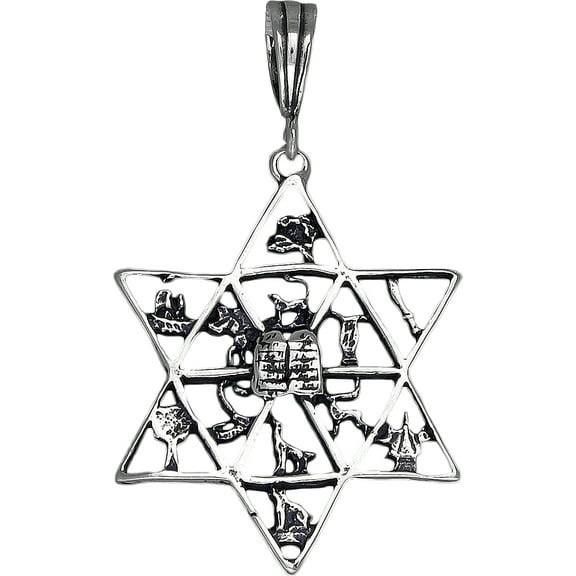 Sterling Silver 12 Tribes of Israel Charm Star of David Pendant Necklace 18 Inch Chain