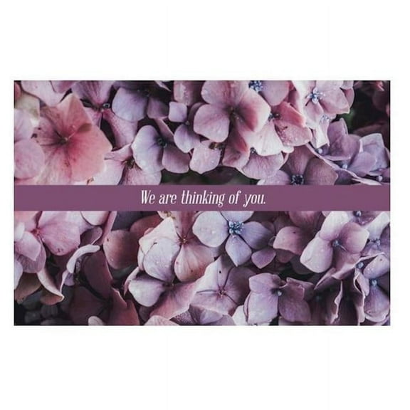 B&H Publishing 381504 We Are Thinking of You Postcard - Matthew 5.6 - KJV - Pack of 25
