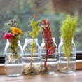 thumbnail image 6 of 64 Oz Canning Jars,Glass Jars Wide Mouth Half Gallon Extra Large Glass Jars with Lids & Rings for Home Canning,Pantry Storage,Food Preserving, 6 of 9