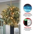 thumbnail image 5 of National Tree Company Pre-Lit Artificial Christmas Kissing Ball, Green, Glittery Bristle Pine, Decorated with Pine Cones, Frosted Branches, Christmas Collection, 12 Inches, 5 of 5
