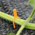 thumbnail image 4 of nipocaio 100Pcs Jardinage Plante Fixation Clips Réutilisables Stolons en Plastique Fixation Vignes Pince Pastèque Fraise Fourche, 4 of 5
