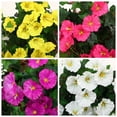 thumbnail image 6 of 2PACK Artificial Hanging Fake Flowers Plants for Outdoor Spring Decoration, Faux Silk Flower UV Resistant Morning Glory for Home Porch Patio Garden Balcony Yard Look Real, 6 of 6