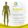 thumbnail image 7 of LongLifrNutri Berberine HCL 500 mg - 180 Vegetarian Capsules, Digestive Supplement for Overall Well-Being, 7 of 7