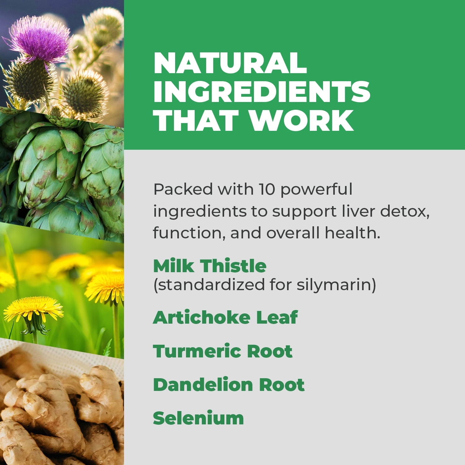 Balance One Liver Support with Milk Thistle & Artichoke, 30 Day Supply