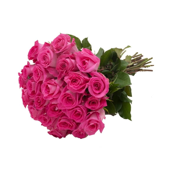Hot Pink Roses Gift - Farm Direct Fresh Cut Flowers - 24 Stems - by Bloomingmore