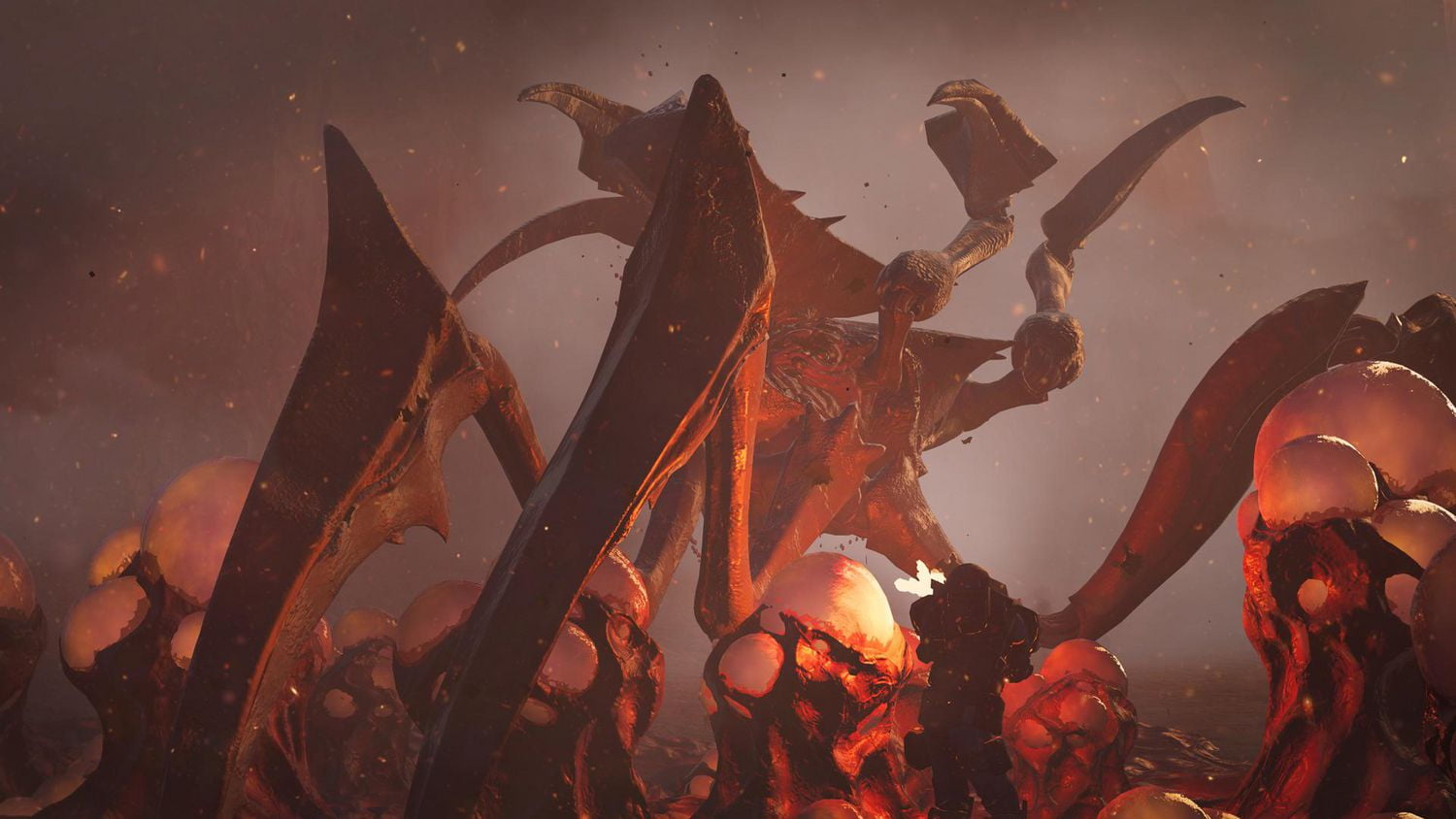 STARSHIP TROOPERS EXTERMINATION (XBSX)