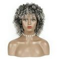 thumbnail image 3 of Lace Front Wigs Human Hair Wig Caps for Women Wig Woman African European And American Fashion Small Curly Hair, 3 of 6