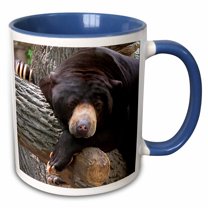 3drose, Oh Man, What a Day, Black Bear, 15oz Two-tone Blue Mug