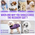 thumbnail image 5 of AUTOWT Recovery Suit for Dogs, Zipper Onesie for Male & Female Dogs, Abdominal Wound & Licking Prevention, Cone E-Collar Alternative, 5 of 7