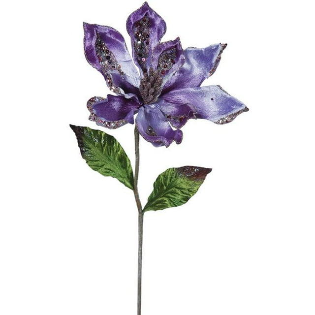 Pourpre Magnolia Tige de Fleur&44; 22 & 9 Po.