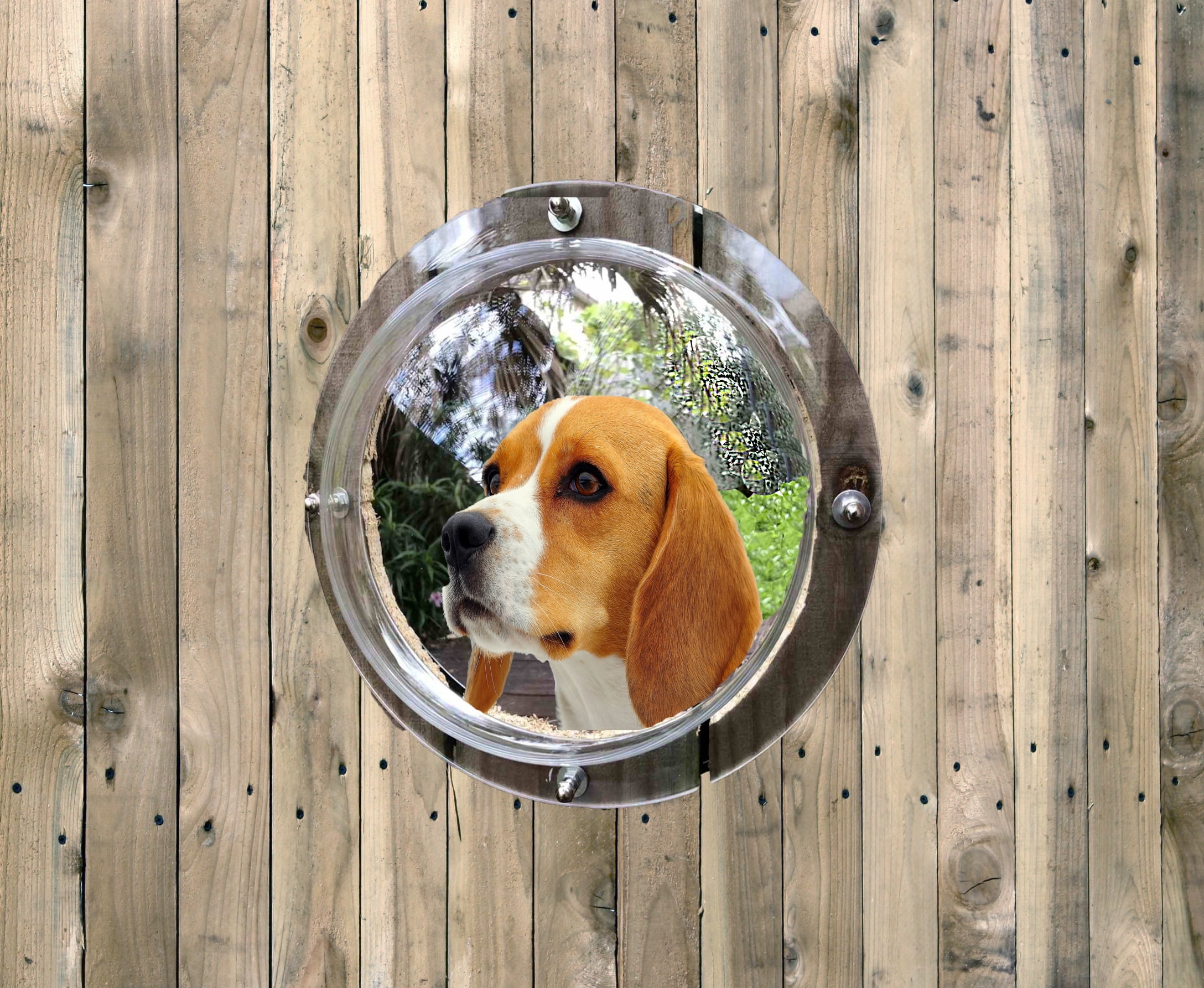 Pet Fence Dome Peek Bubble Window for Dogs for Dogs See Outside