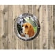 thumbnail image 1 of Pet Fence Dome Peek Bubble Window para perros - para perros See Outside - Ansiedad Bark Reliever - Plástico acrílico duradero con instrucciones y hardware Adepaton CJWUS-4652, 1 of 3