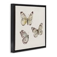 thumbnail image 2 of Stupell Industries Transitional Delicate Butterflies on Beige Black Floating Frame Canvas Art, 18 x 18, by Patricia Pinto, 2 of 8