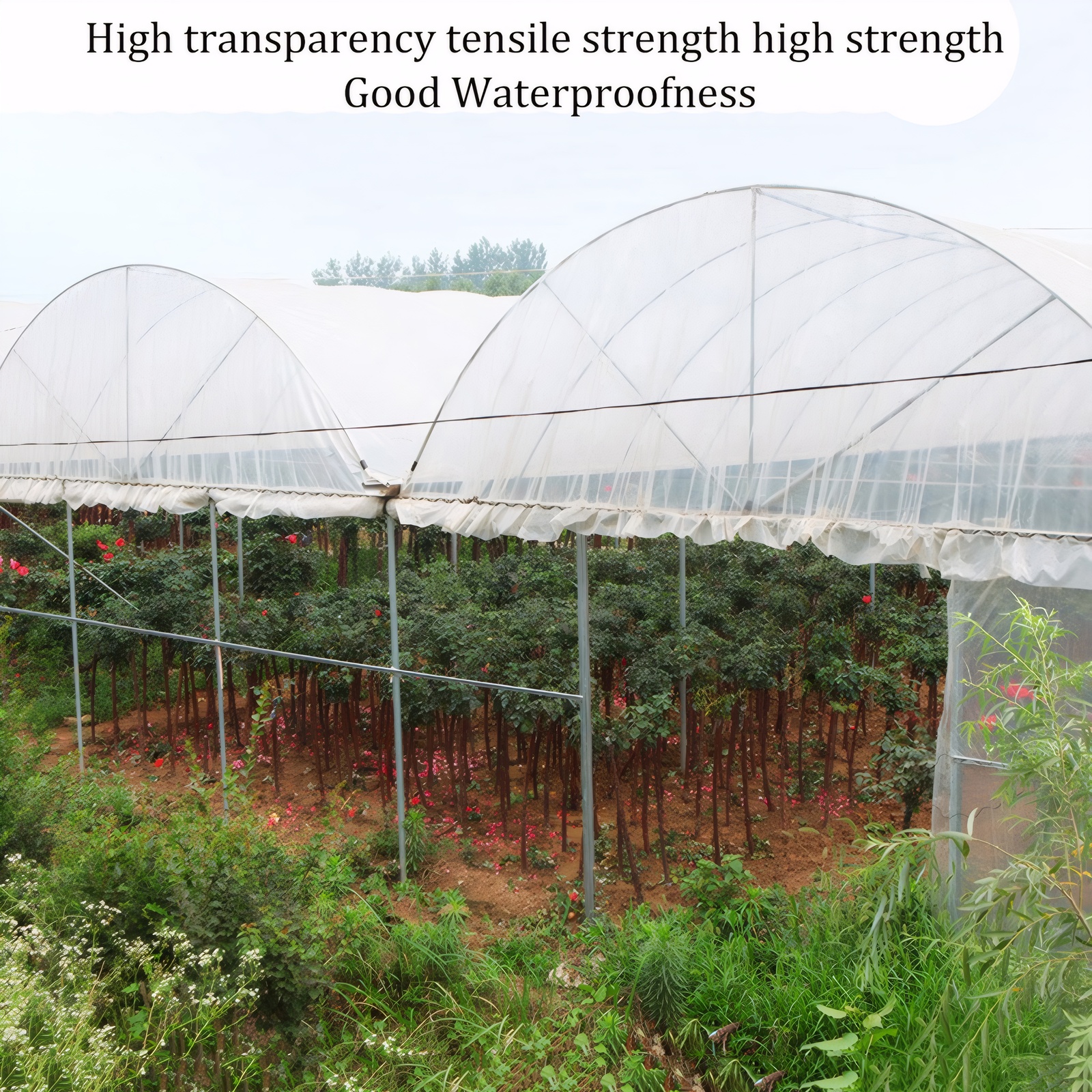 Eurhowing 6.5x20FT Greenhouse Film, 6 Mil Clear Greenhouse Plastic Sheeting, UV Resistant Polyethylene Cover for Plant Growing, Hoop House, Gardening
