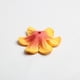 thumbnail image 4 of Pétalos de hortensia de seda para bodas, cumpleaños, celebraciones, decoración del hogar, confeti naranja, 4 of 9