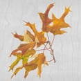 thumbnail image 3 of Miller, Dianne 12x12 Black Modern Framed Museum Art Print Titled - Autumn Leaves III, 3 of 5