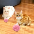 thumbnail image 3 of de Hierba Gatera Interactiva para de 2 Piezas, Juguetes Táctiles Que Suenan Suministros Chirriantes Yinane bola de hierba gatera, 3 of 7