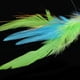 thumbnail image 4 of Pesca con mosca para trucha, salmón y trucha arcoíris con streamers en agua salada Verde, 4 of 8