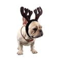 thumbnail image 1 of FESTFENDS Para Con De Cuernos Marrones Para Ambiente En Fiestas, 1 of 8