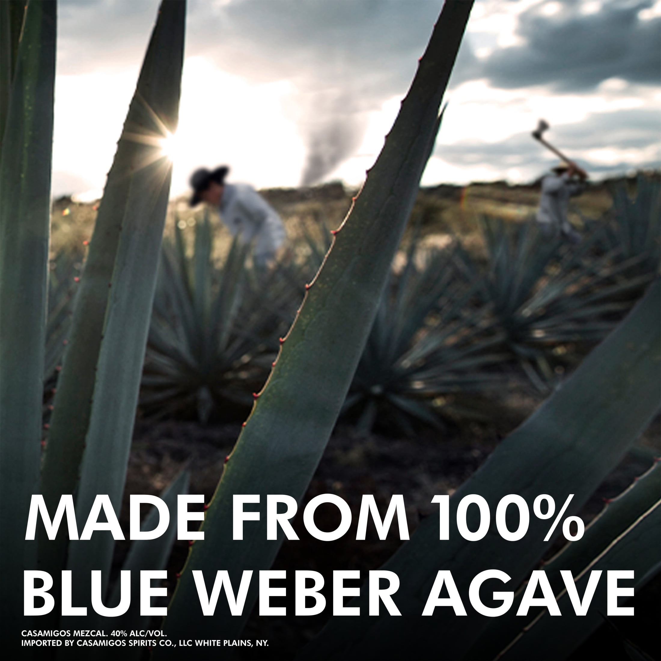 Casamigos 100% Agave Espadin Mezcal Joven Liquor, 1 Count