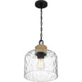 thumbnail image 6 of Quoizel Baltic 1-Light Matte Black Mini Pendant - Matte Black, 6 of 9