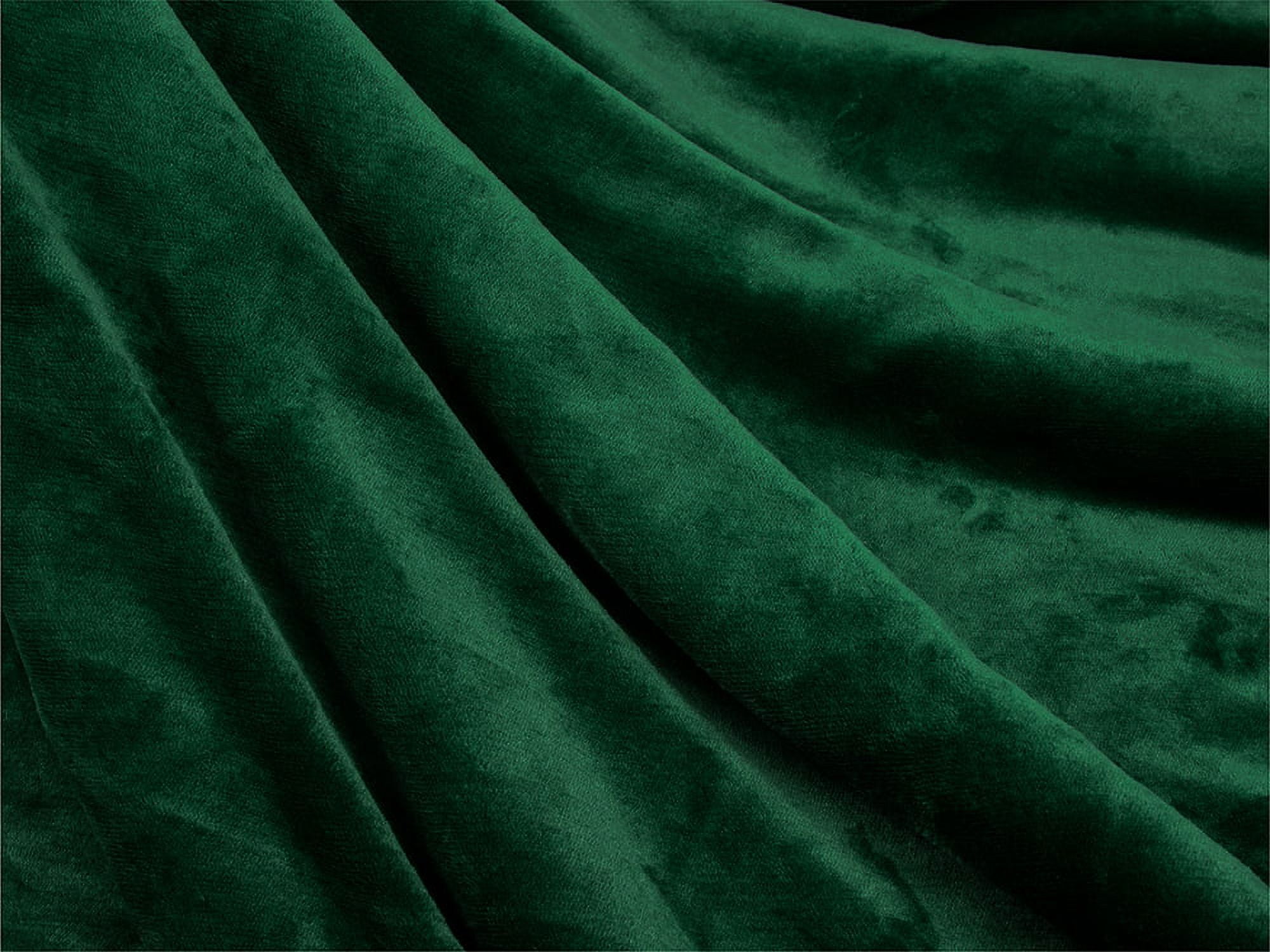 PAVILIA Plush Sherpa Fleece Blanket Throw, Twin, Emerald Green | Soft, Warm, Fuzzy Dark Forest Throw for Couch Sofa | Solid Reversible Cozy Microfiber Fluffy Blanket, 60x80